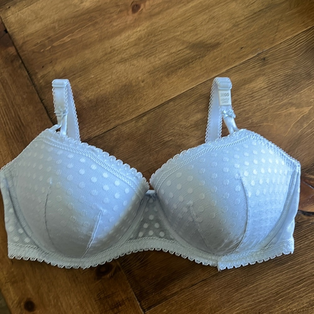 Baby Blue Bra.  Polka dots. Lace.
